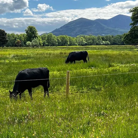 Ferienhaus Boutique Luxury At Natures Door- Killarney